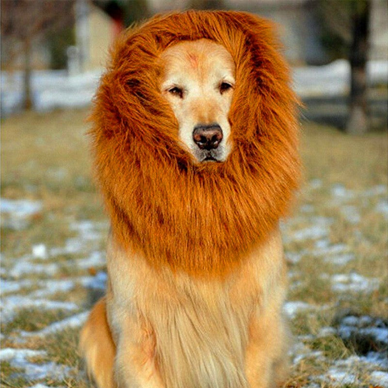 Lion Mane Wig for Large Dogs Main image