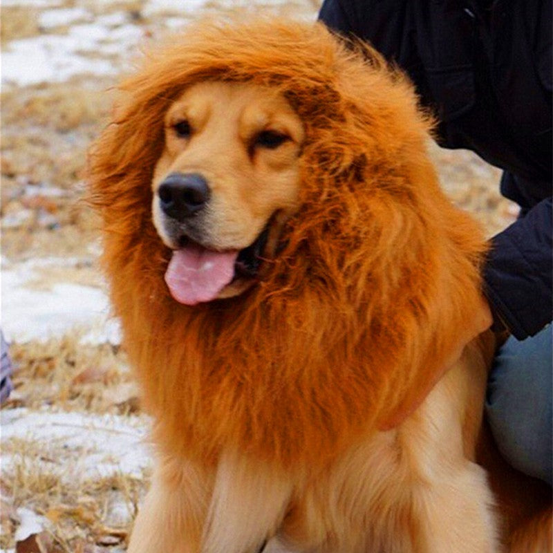 Lion Mane Wig for Large Dogs Secondary image